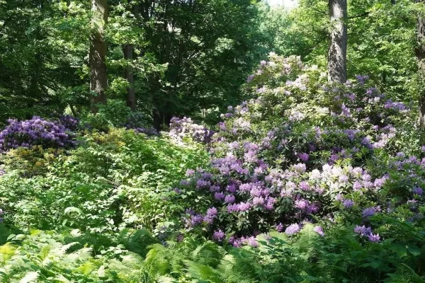 Tiergarten Berlin